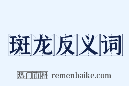 斑龙反义词是什么意思的图片
